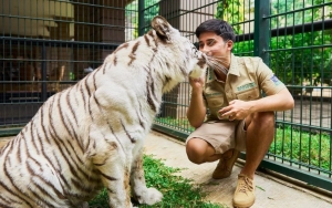 Ramai Dikritik, Alshad Ahmad Akhirnya Spill Alasan Ngontenin Harimau Peliharaannya