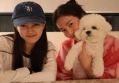 Suzy Bongkar Kepribadian Asli Song Hye Kyo usai Jadi Bestie