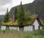 Rumah yang Dipenuhi Pohon di Norwegia