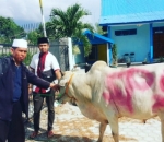 Mengabdi Untuk Rakyat dengan Menyembelih Kurban Sapi di Hari Raya Idul Adha