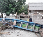 Beberapa Pohon Tumbang di Pulau Sebesi Lampung