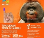 Promo di Bali Zoo