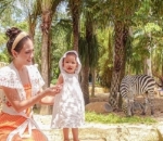 Shandy aulia dan claire <i>me time</i> di kebun binatang