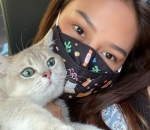 Penyuka kucing