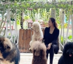 Seorang <i>Animal lover</i>