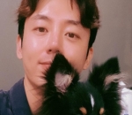 Penyayang anjing