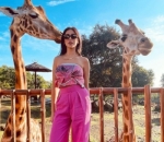 Serba pink 