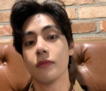V BTS & Joshua SEVENTEEN