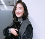 Si pecinta kucing