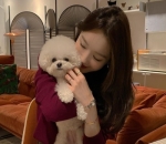 Pose Imut Dengan Anjing Peliharaan