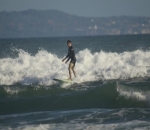 Gemar <i>surfing</i>