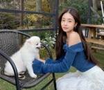 pecinta anjing