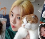 lembut dan seorang pecinta kucing