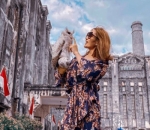 Demen traveling 