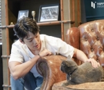 pecinta kucing