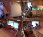 Kamar Kim Sejeong Yang Hangat