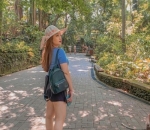 Keseruan Ke Monkey Forest