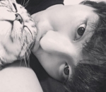 Pecinta kucing