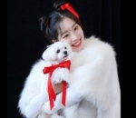 Tampil Couple Dengan Anjing Peliharaan