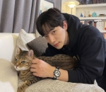 Pecinta Kucing