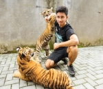 Disebut Pawang Harimau