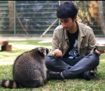Nongkrong Asik Bareng Rakun