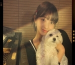 Pecinta anjing