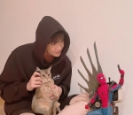 Pecinta Kucing
