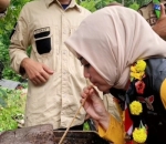 Minum Madu Langsung dari Sarangnya