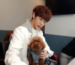 <i>Boyfriend Material</i>