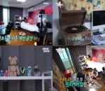 Kamar Giselle & Winter Yang Artistik