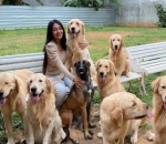 Memelihara Anjing