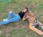 Santai Bersandar Ke Harimau