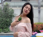 Bareng Sun Conure