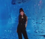 Kunjungi Aquarium