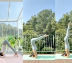 Ahli Dalam Yoga
