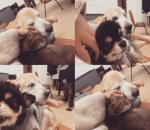 Kenangan Bermanja-manja