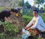 Panen Kacang Bersama