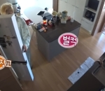 Dapur Minimalis