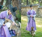 Bermain Dengan Anjing