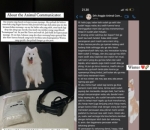 Wendy Lakukan <i>Animal Communicator</i>