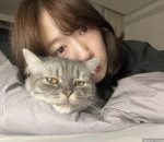 Bersantai dengan Kucing