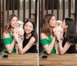 Sama-sama Penyuka Anjing
