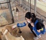 Kunjungi <i>Animal Shelter</i>
