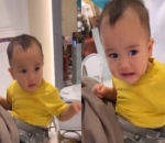 Cipung dengan Baju Kuning