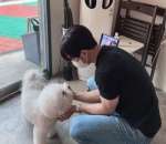 Gampang Akrab Dengan Anjing