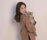 Disebut Keluarga Kucing