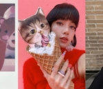 Cat Lover Garis Keras