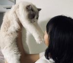 Quality Time dengan Kucing