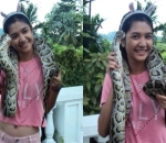 Pemberani Abis